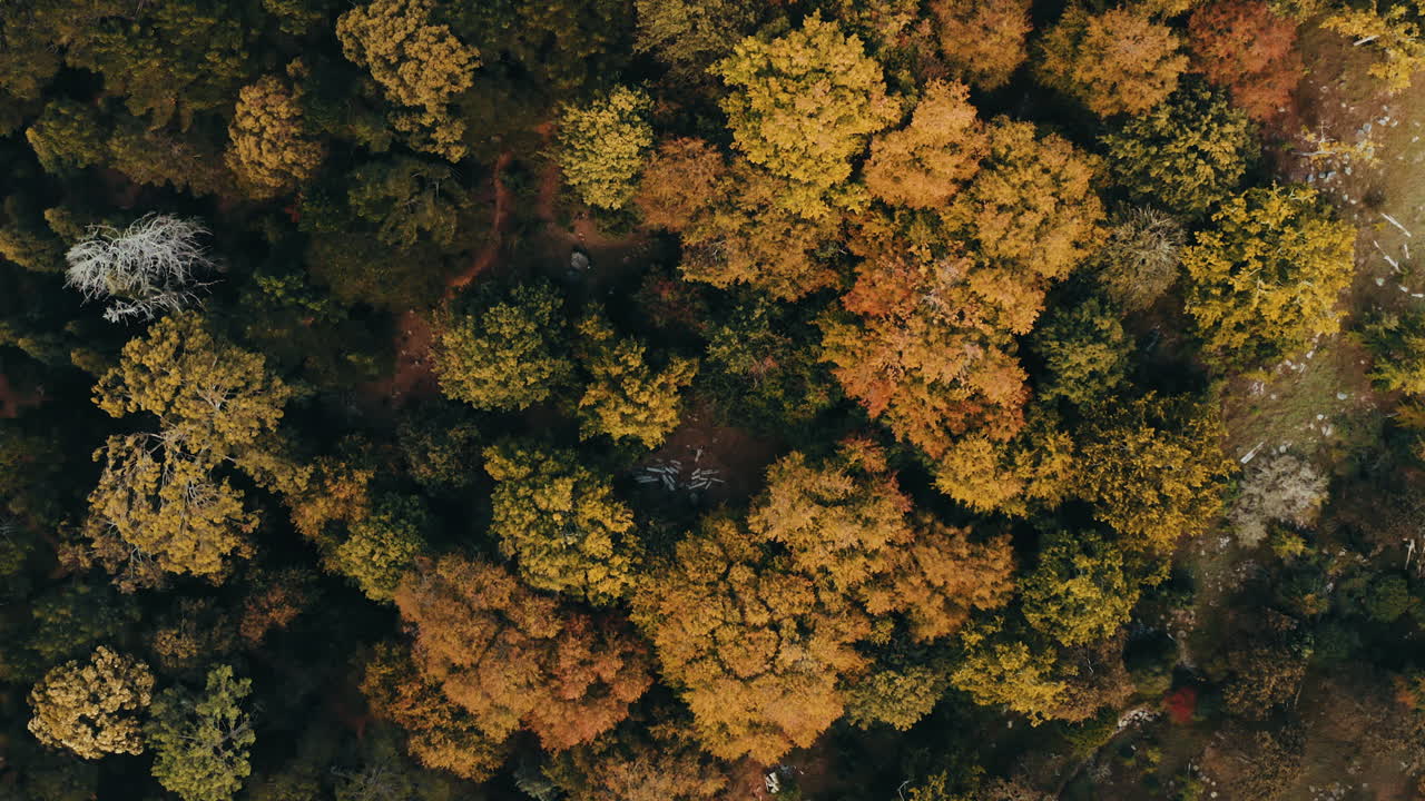 Let's wander where the wifi is weak