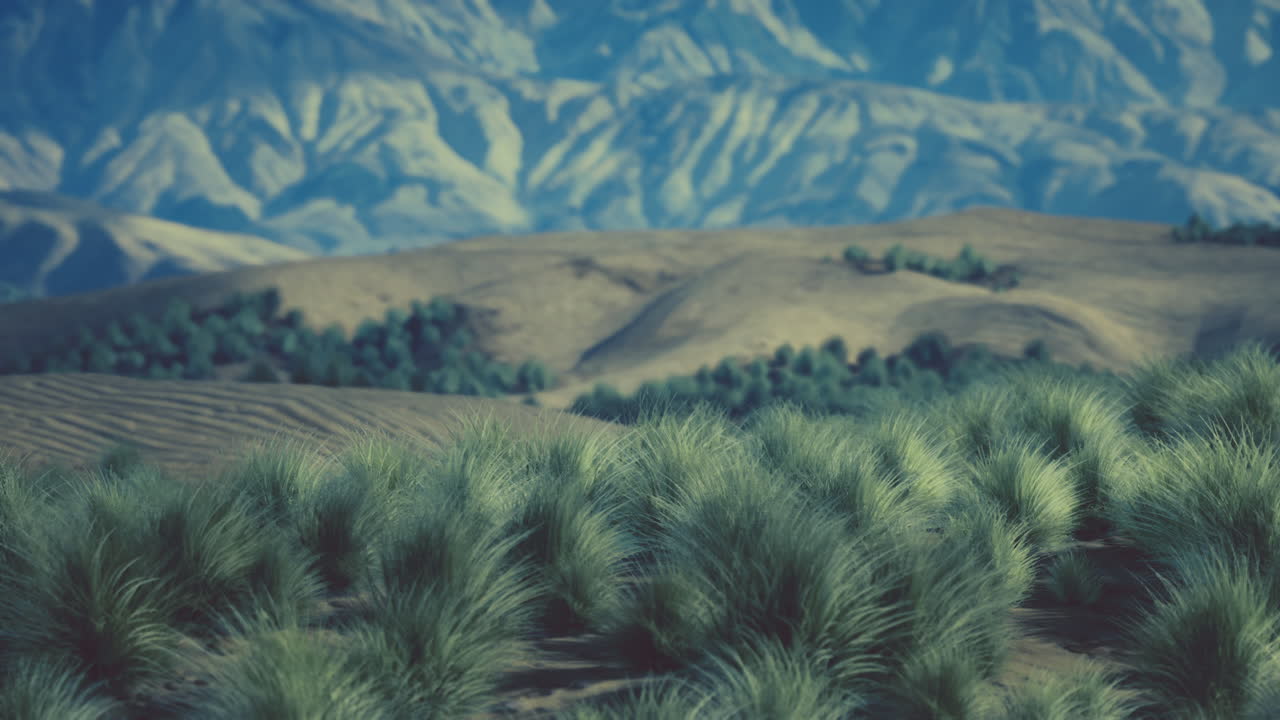 paisaje desértico sereno con dunas de arena y montañas
