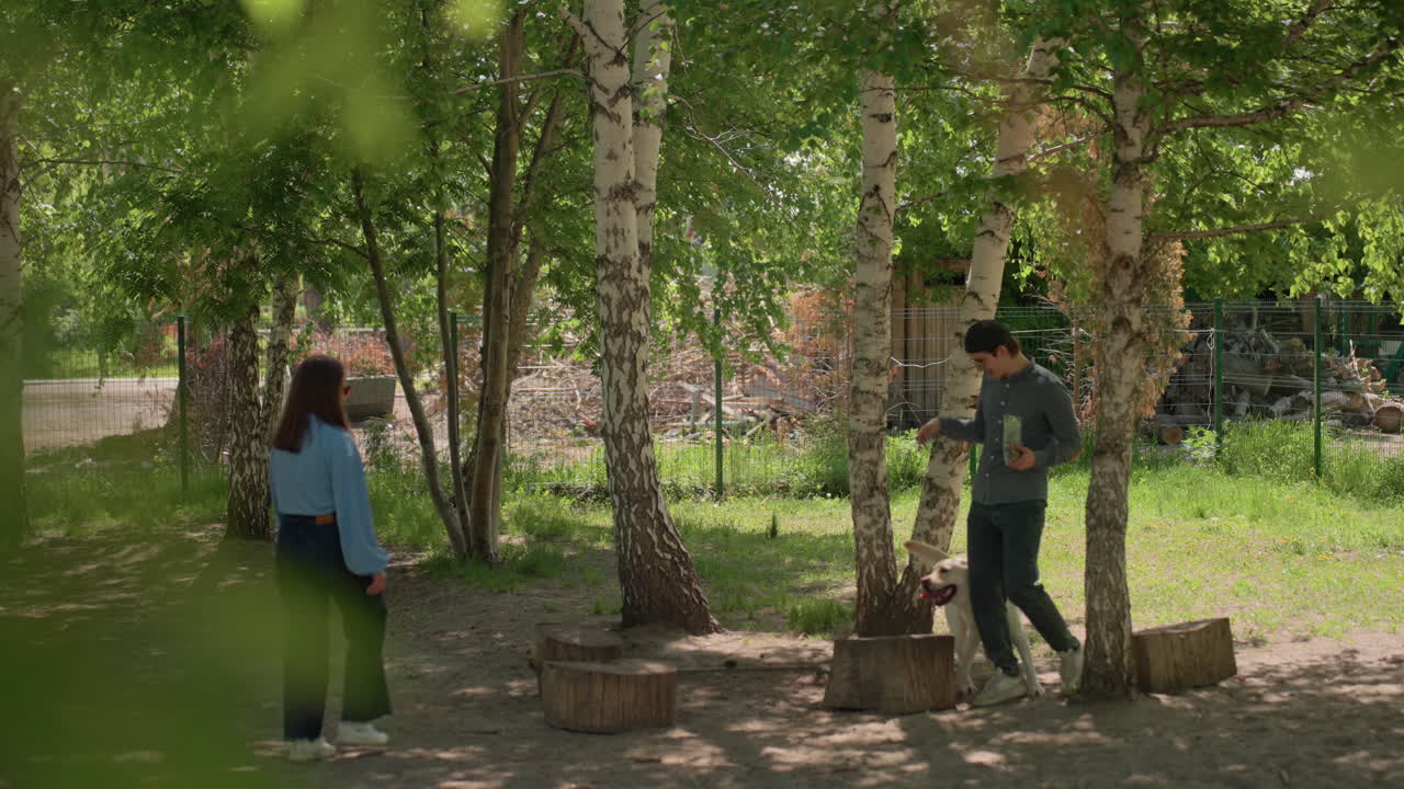 dos personas se reúnen bajo un dosel de abedules, de pie junto a asientos de troncos y tocones de árboles, luz solar moteada filtrándose a través de las hojas, ropa informal, conversación tranquila y sonrisas suaves, ambiente íntimo al aire libre