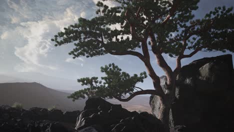 el desierto de los pinos