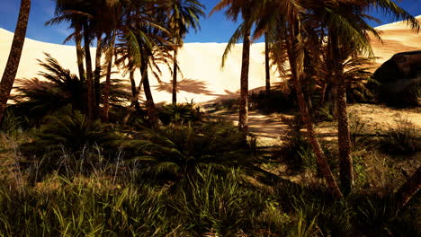 un oasis de palmeras en el desierto