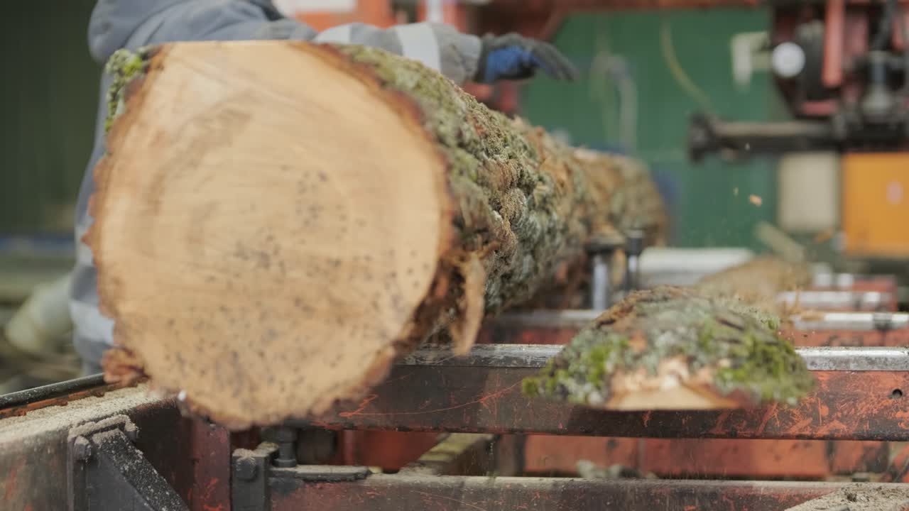 Close-up of a Log Being Cut on a Sawmill