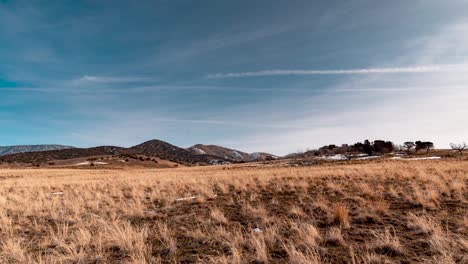 domestic sheep grazing on their winter range in the foothills - static wide angle time lapse