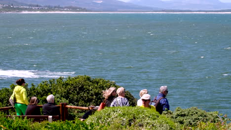 group of tourists enjoying scenic ocean view