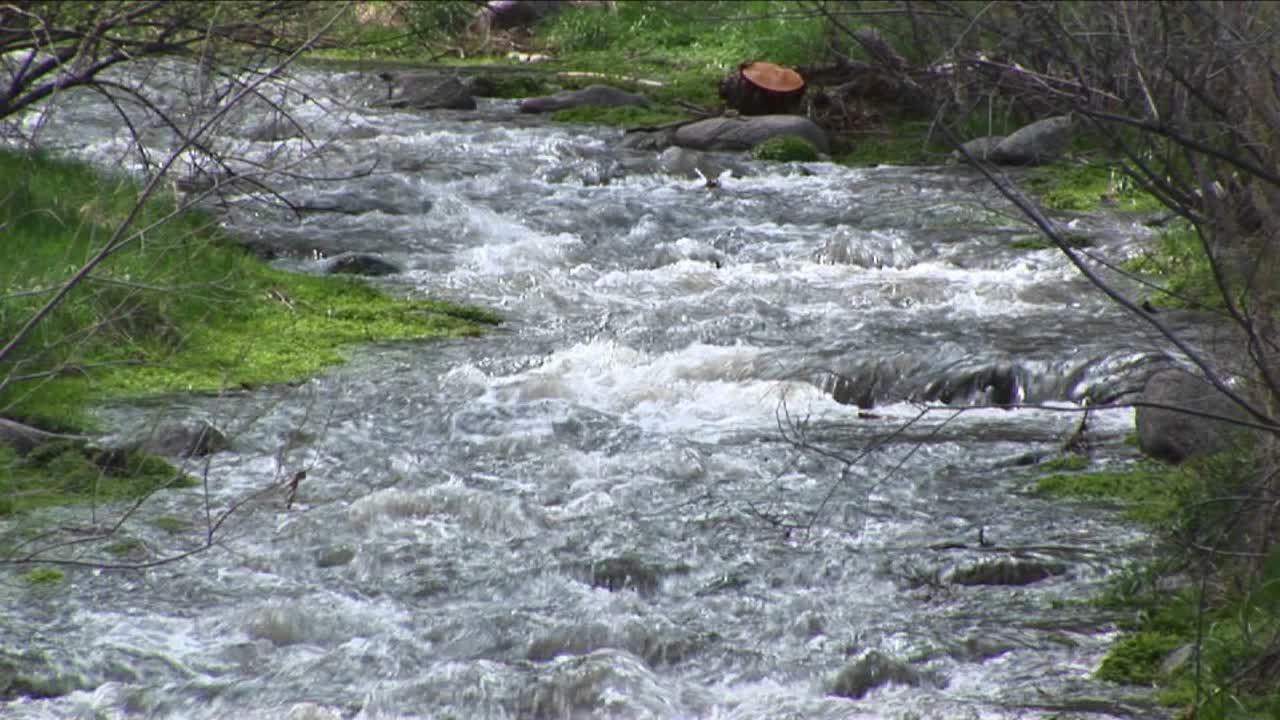 흐르는 계류의 중간 샷