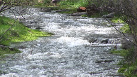 medium shot of a flowing mountain stream