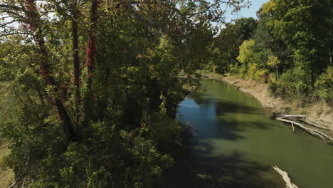 Bosque-Tranquilo-Con-Río-Tranquilo-Cerca-De-Puentes-Gemelos-En-Arkansas,-EE.UU.