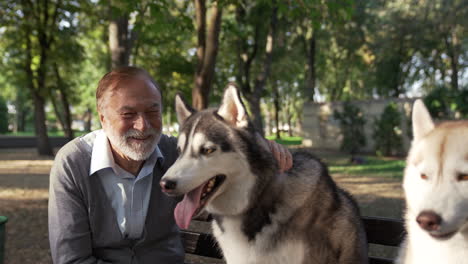 Pet-owner-with-his-dogs