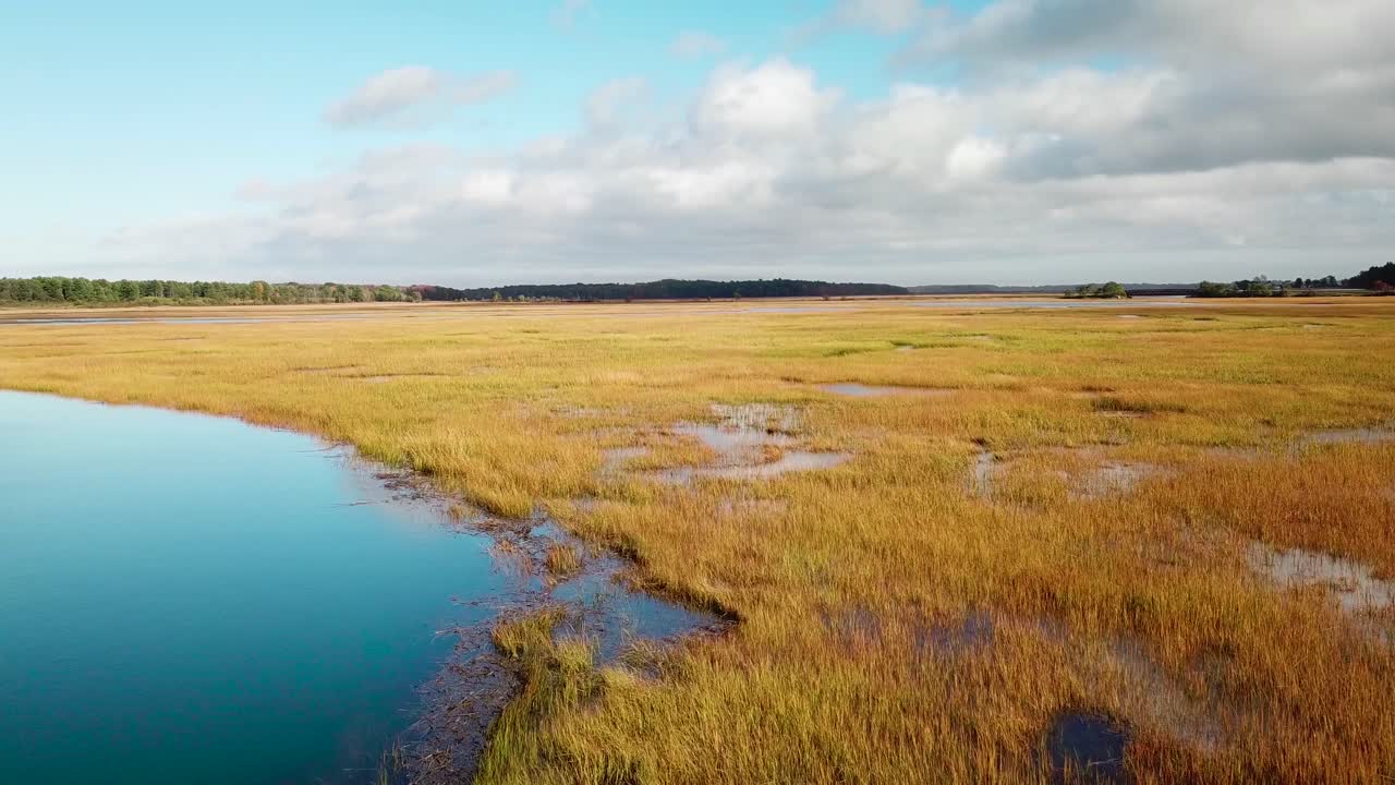antena sobre vastos pantanos a lo largo del río nonesuch cerca de portland, maine, nueva inglaterra 4
