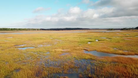 aerial over vast bogs along the nonesuch river near portland maine new england 4