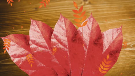 multiple leaves pattern icons falling over autumn maple leaf against wooden background