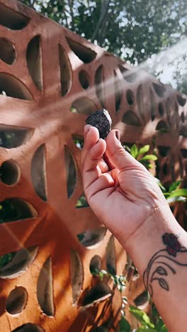 hand holding a small dark stone