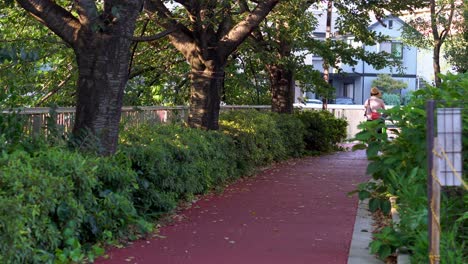 Uno-De-Los-Principales-Medios-De-Locomoción-En-Japón-Es-La-Bicicleta,-Desde-Niños-Hasta-Personas-De-La-Tercera-Edad-La-Usan-Durante-Todo-El-Día-Por-Diferentes-Lugares-Y-Caminos-De-La-Ciudad