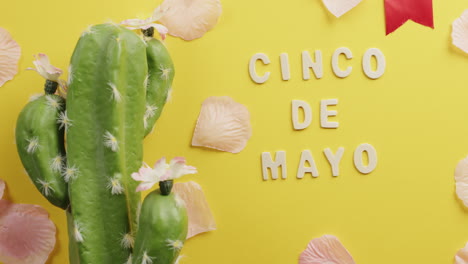 cinco de mayo background