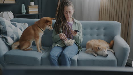 woman and dogs relaxing on couch watching tv with popcorn