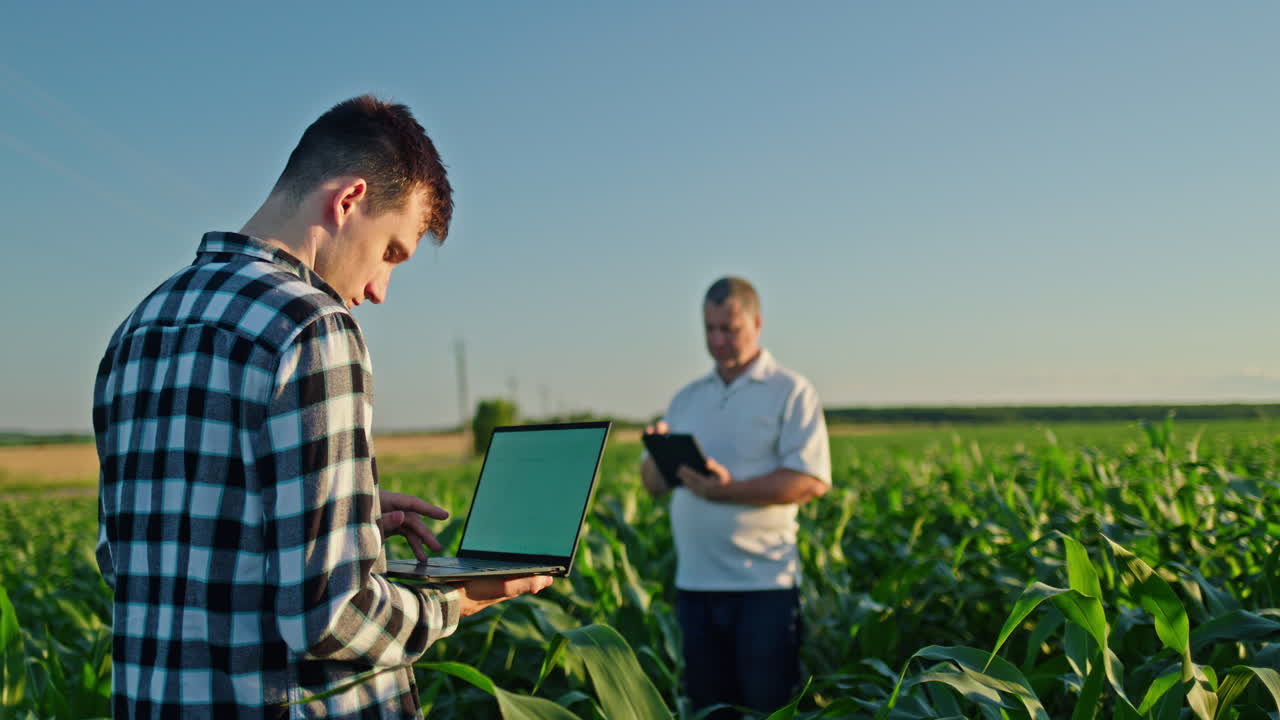 Agricultor usando laptop no milharal