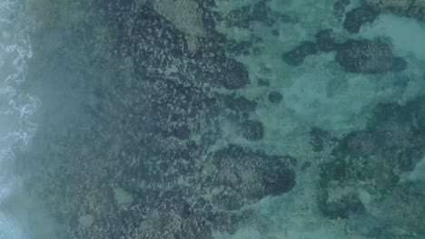 Top-Down-Drone-View-of-turquoise-clear-water-and-crashing-waves-over-shallow-coral-reef-in-Uluwatu-Bali-Indonesia