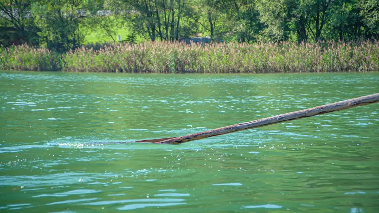 Close-up movement of a oar. Hlodovc log-raft ride experience on Drava river