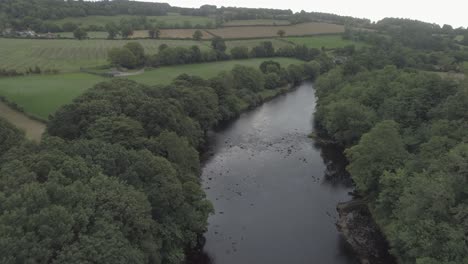 aerial shot above a river following its path through the trees