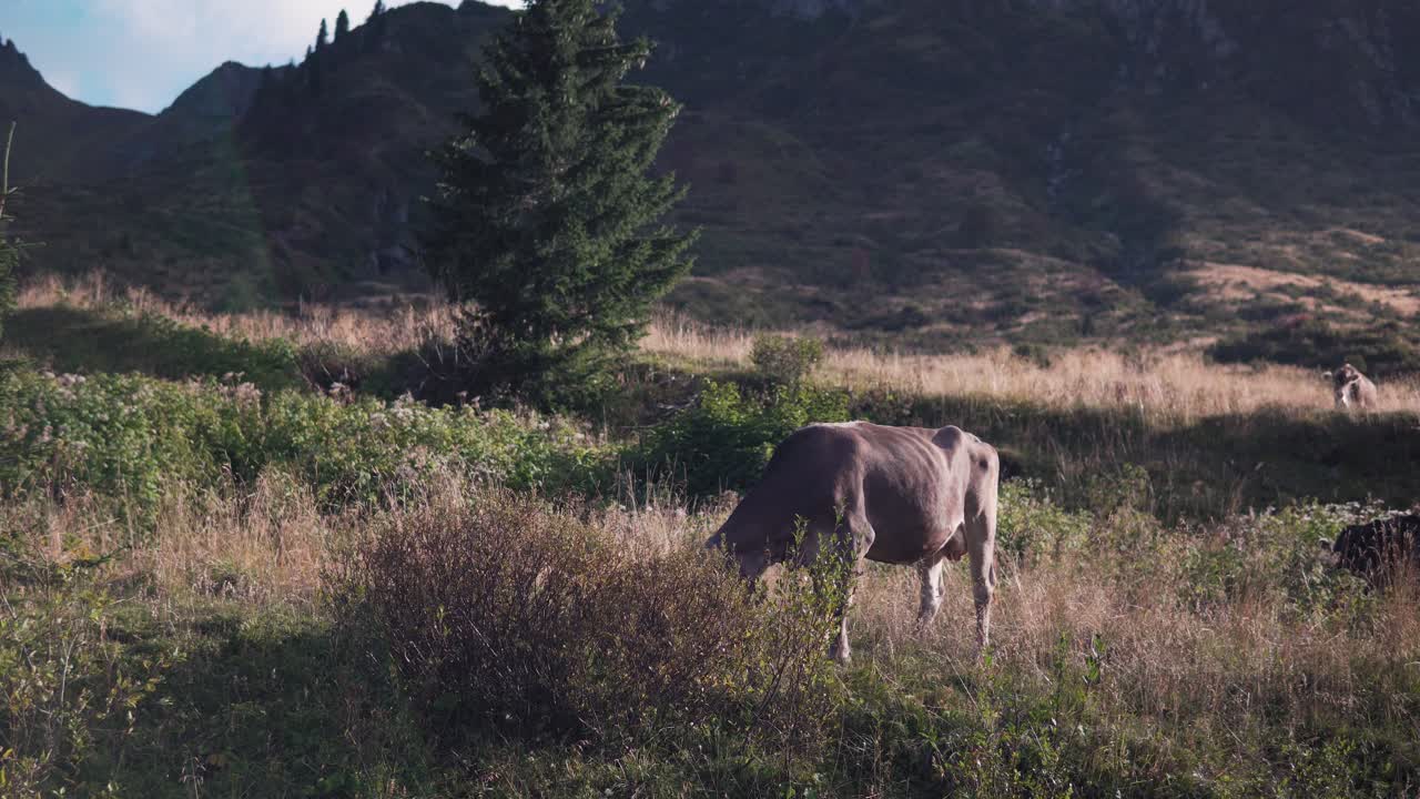 val gardena, 돌로미티, 이탈리아