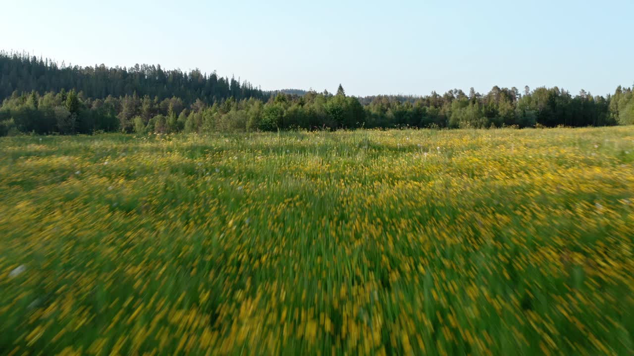volando sobre campos rurales y granjas en verano - disparo de avión no tripulado
