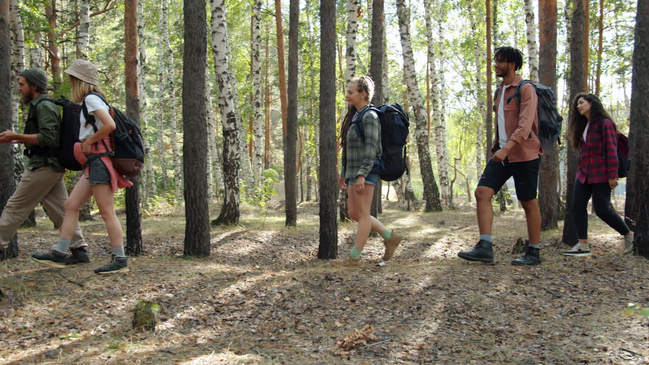 숲에서 그룹 하이킹