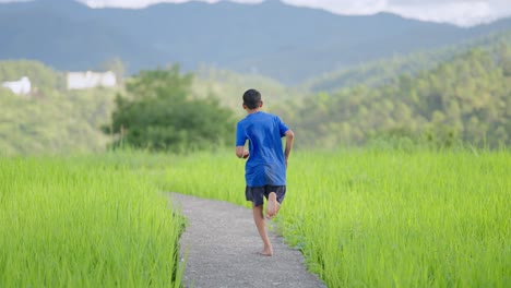 indian boy in blue t-shirt running barefoot across flooded paddy fields, joyful rural childhood scene, 4k video