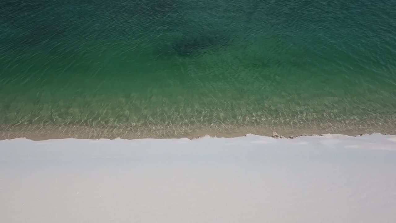 브라질의 담수 석호 가장자리에서 흐르는 청록색 물