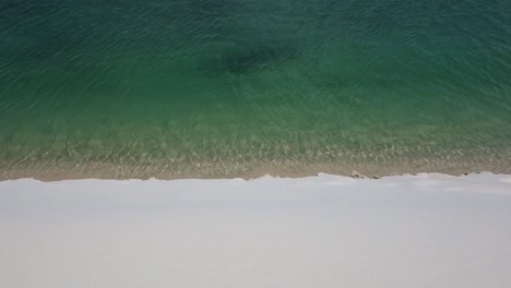 turquiose water moving at the edge of a freshwater lagoon in brazil