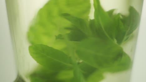 mint leaves spinning inside the water in a glass - macro shot