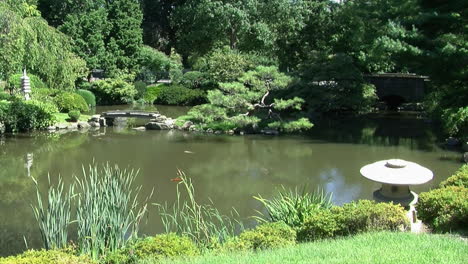pan of a pond in a japanese garden