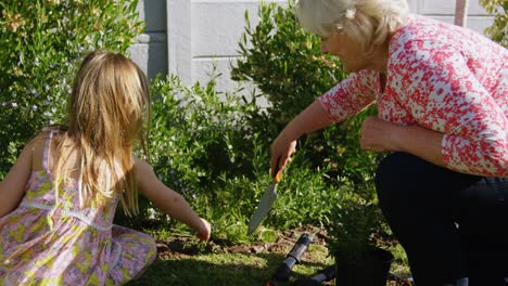 grandmother and granddaughter planting in garden 4k