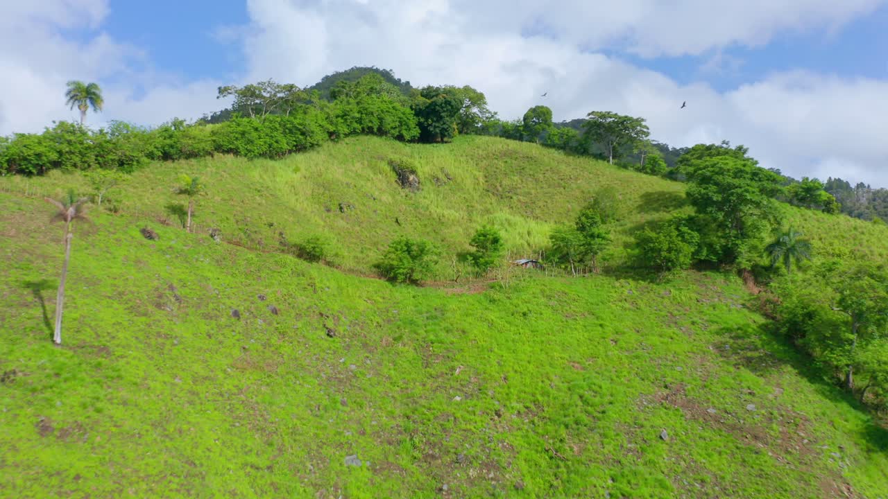 vista aérea de una exuberante colina verde con pájaros volando en la ciudad de los mogotes en san cristobal, república dominicana