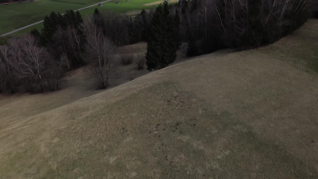 Drone fly above Forest with Snow Covered Mountain Summits in Background.Vorarlberg, Austria