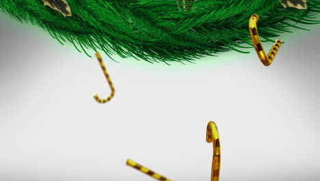 animation of candy canes christmas decorations over fir tree branches on white background