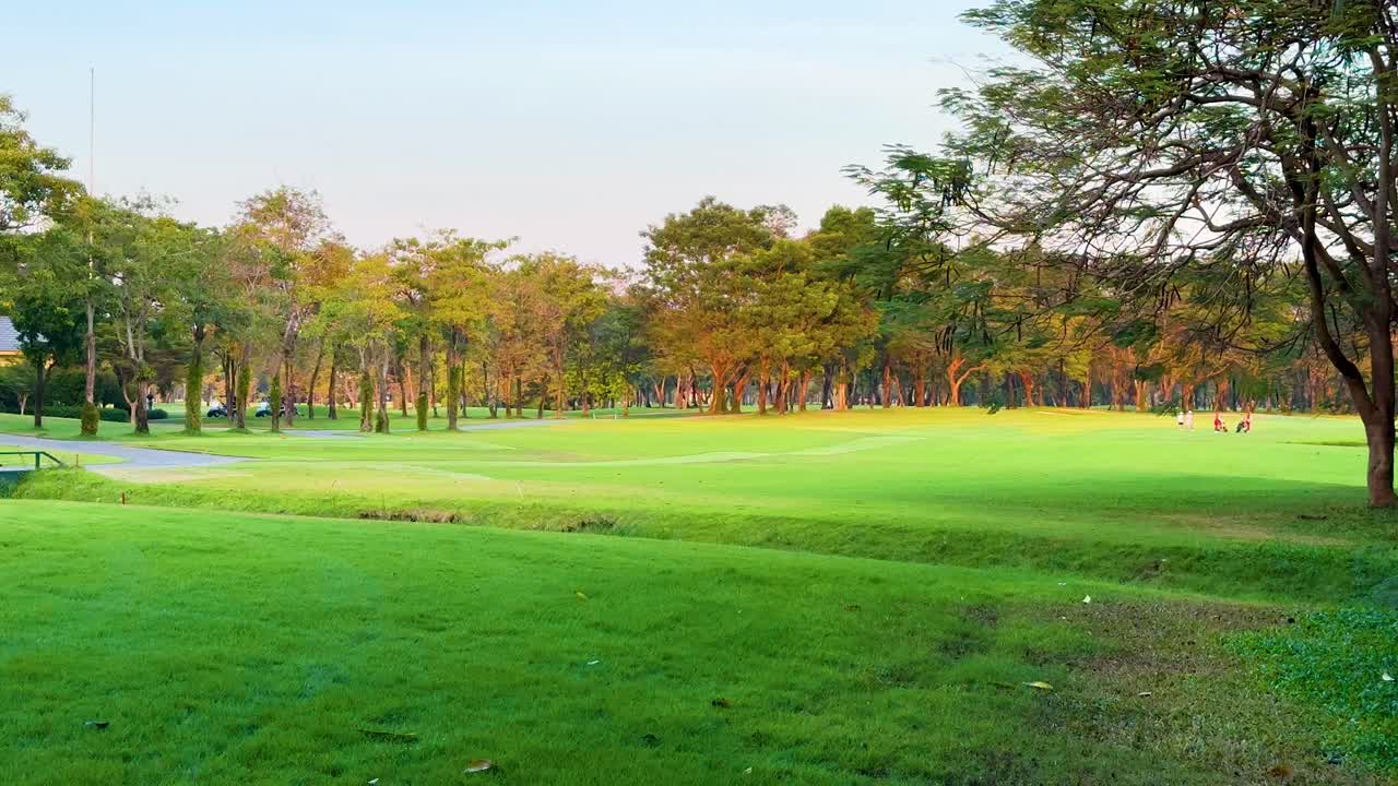 울창 한 초록색 을 가진 조용 한 골프장