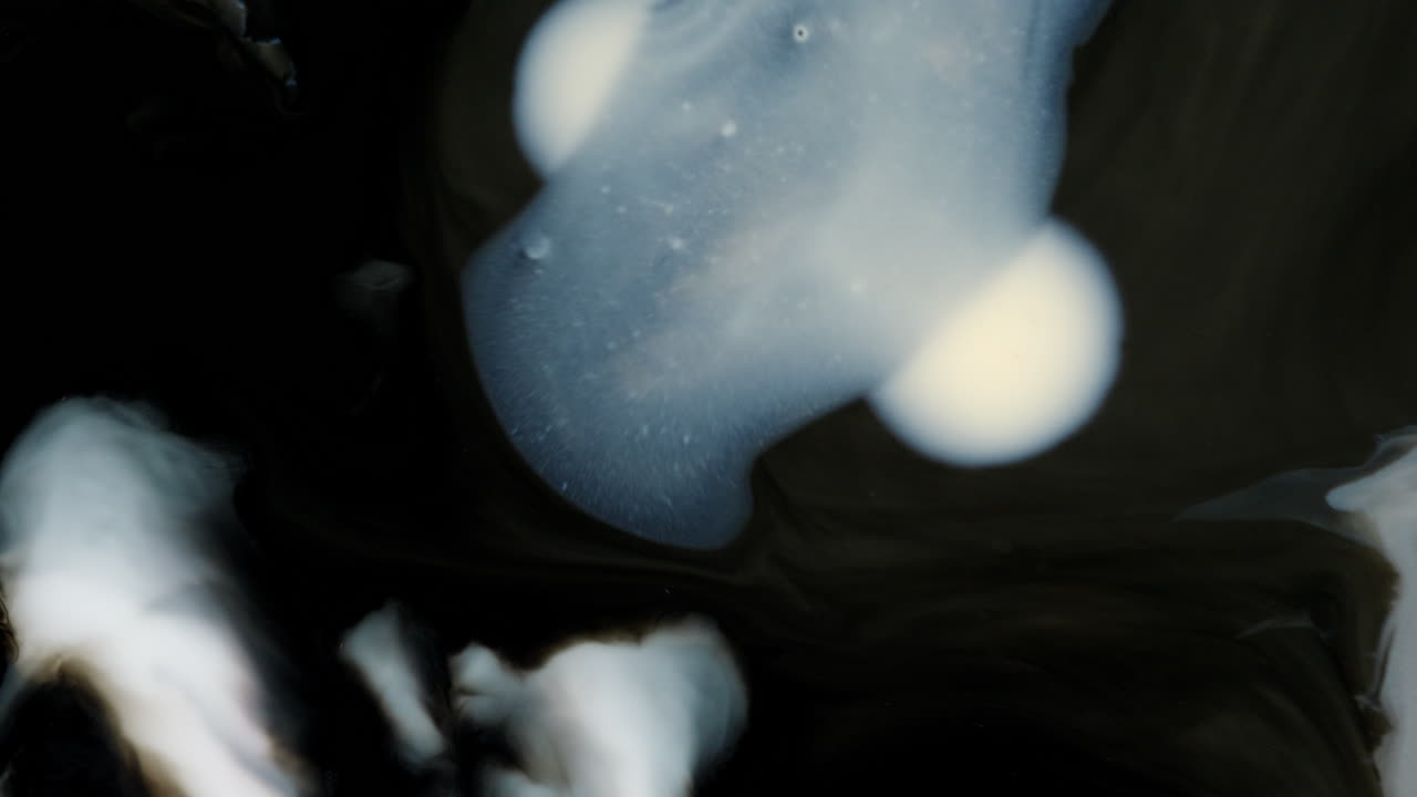 The black and white mixing colors paint in slow motion