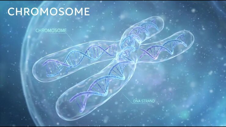 Glowing blue 3D model of X and Y chromosome genetic structure