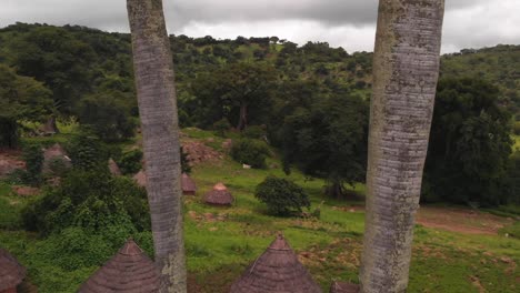 Aerial-view-small-village,-palm-tree-foreground,-Senegal,-Africa,-cloudy,-drone-shot