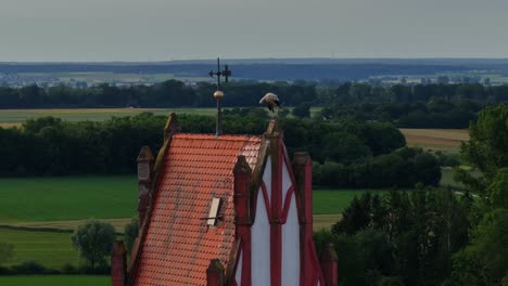 aerial drone fly large bird preening on a tile roof house, weather vane compass for wind and weather