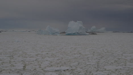 Iceberg-and-icefield