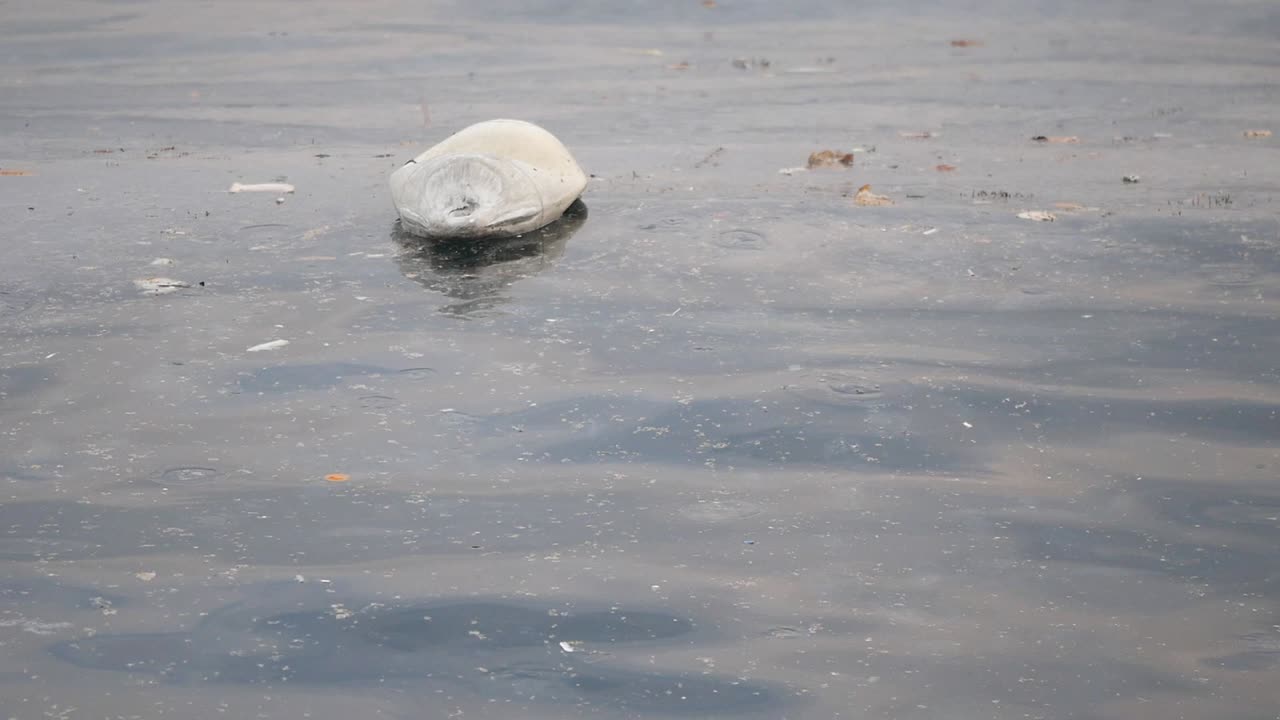 Plastic Waste in Water