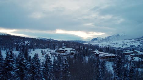 Flying-through-the-tree-tops-in-Telluride,-Colorado-Ski-Village