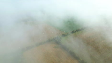 hazy clouds canopy over farmland during harvest season