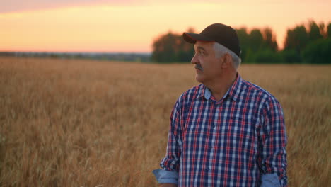 portrait of a happy senior adult farmer in a cap in a field of grain looking at the sunset. wheat field of cereals at sunset. slow motion