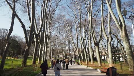 people walking through a tree lined path in a park