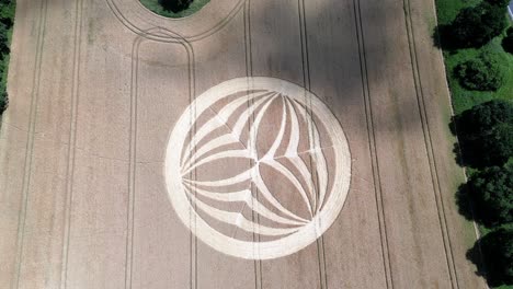 cloud shadows pass across warminster 2023 crop circle symbols with aerial view rising above british corn field farmland