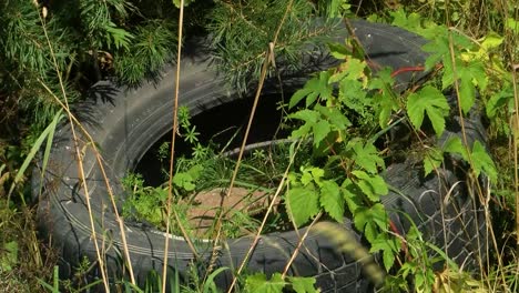 un neumático de coche está abandonado al lado de las carreteras