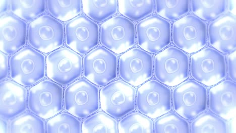 células de la piel humana. cada célula con membrana. terapia celular. tratamiento de enfermedades. núcleo y vacuola. regeneración. animación de bucle.
