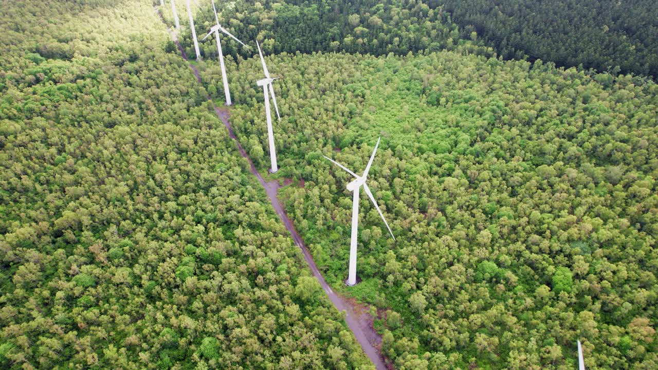 turbinas eólicas entre bosques exuberantes, concepto de energía renovable y sostenibilidad, fotografía a la luz del día, vista aérea